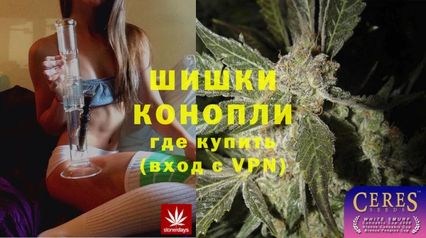 spice Верея