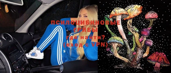 таблы Богородицк