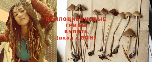 гашиш Богданович