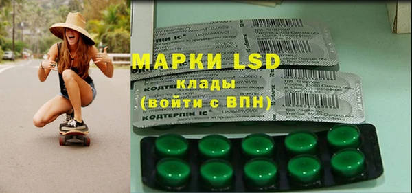 spice Верея